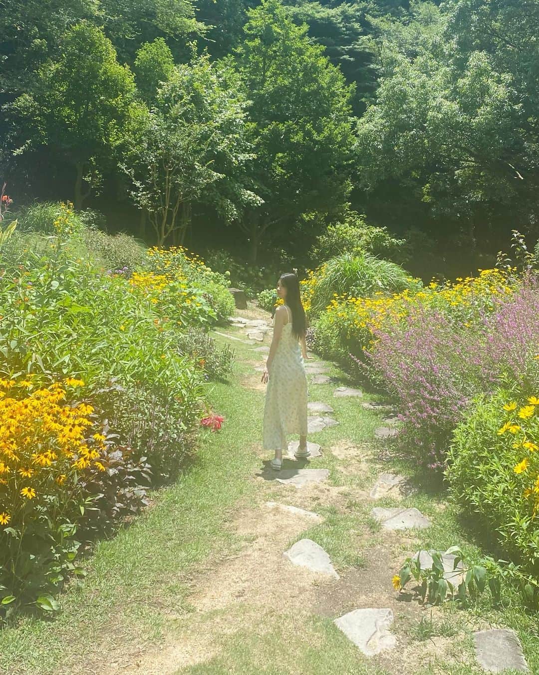 寺田蘭世さんのインスタグラム写真 - (寺田蘭世Instagram)「写真集の撮影で ハーブ園に行ってきました。 とてもいい香りでした。 アイスクリームも美味しかったです。💛🍦✨  #乃木坂46 #寺田蘭世 #写真集  #sunflower  #🌻」10月5日 19時43分 - terada.ranze.official