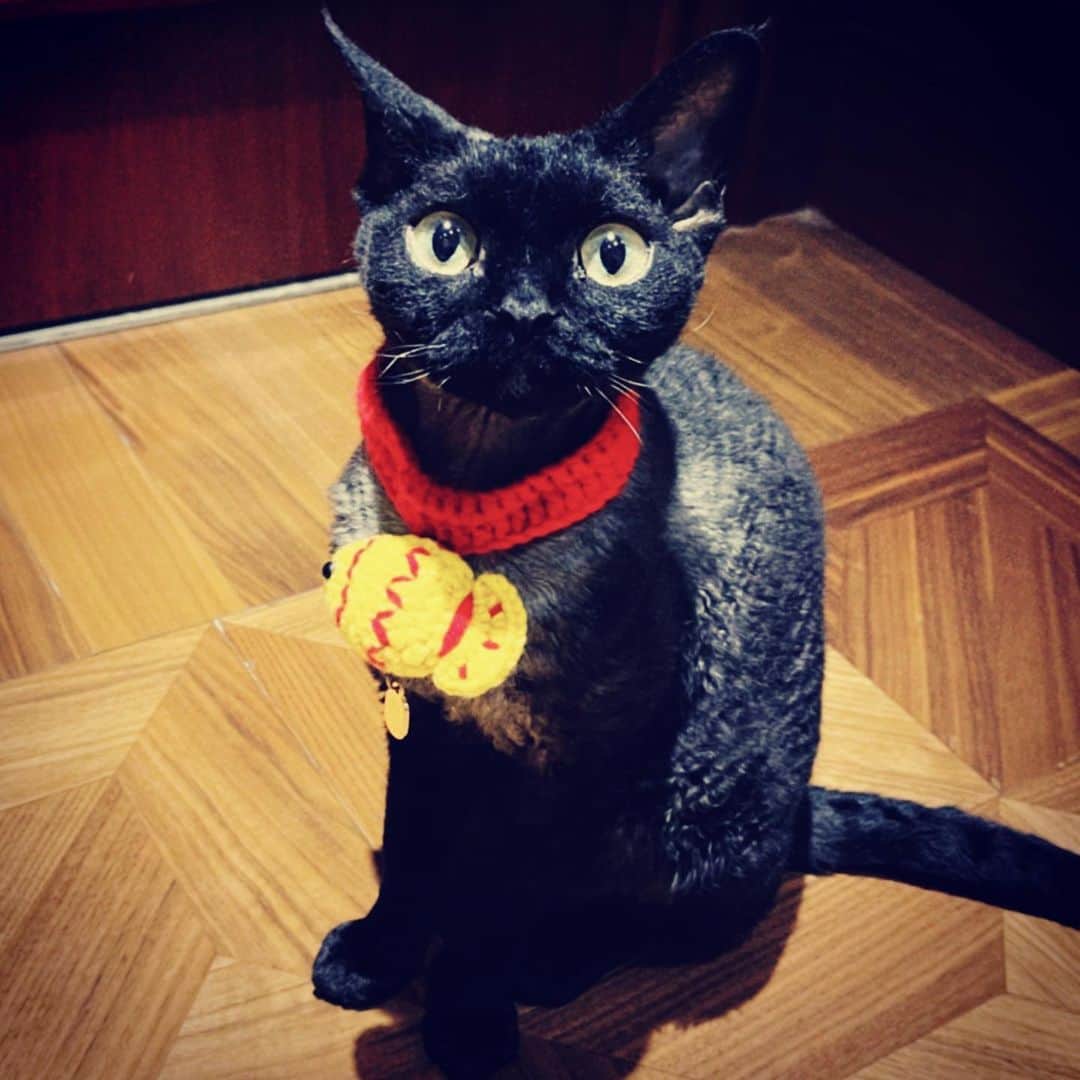 クアン・シャオトン（Guan Xiaotong）のインスタグラム：「🖤」