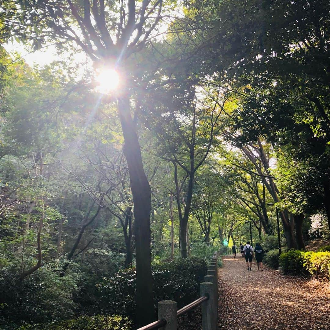 原日出子さんのインスタグラム写真 - (原日出子Instagram)「今日は いいこと思いついちゃいました😊 ウォーキングに行く前に 温泉♨️施設の駐車場まで 車で行って そこからスタート🚶‍♂️ 着替えも 温泉セットも車の中💖 距離は ちょっとだけ短くなるけど 元気に歩いて 温泉直行〜♨️ 幸せだぁ😍 岩盤浴も温泉も ゆーっくり入って ノンアルハイボールと シーフードサラダ✨ 完璧な1日です👍👍👍  #ウォーキング #緑道 #fitness #シニアのダイエット #歩こう #毎日を楽しく #岩盤浴 #健康が一番の財産」10月5日 23時21分 - hara_hideko