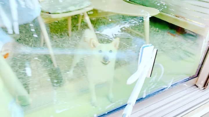 西川進のインスタグラム