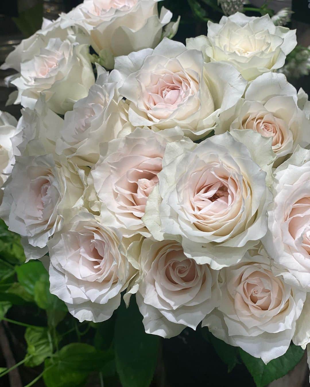 ImotoEtsuyo さんのインスタグラム写真 - (ImotoEtsuyo Instagram)「#こんばんは。 ・ 今日も忙しい１日でした。 ・ #癒し  #flower  #花  #お疲れ様でした  #beautiful  #10月」10月6日 20時22分 - bisuhada