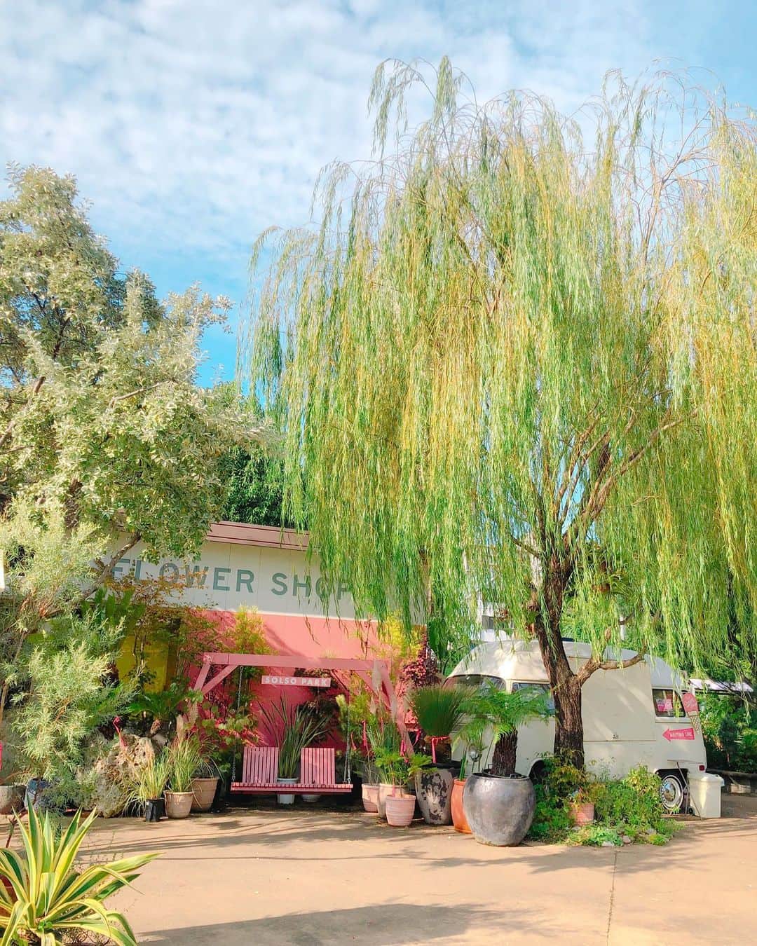 堀田ゆい夏のグルメインスタ