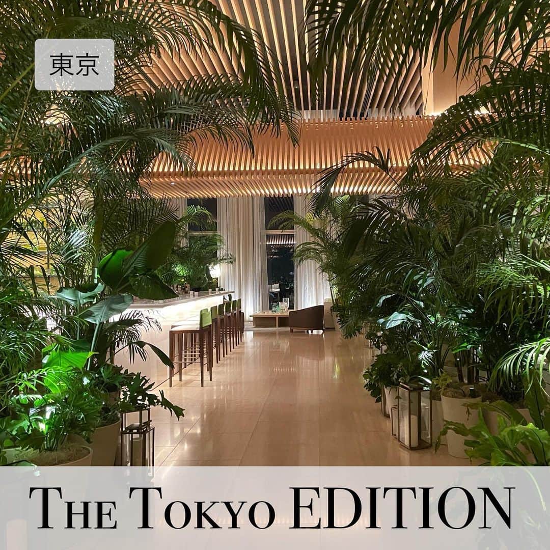 高野晴香のインスタグラム：「. . 📍東京エディション虎ノ門  住所：東京都港区虎ノ門4丁目 1番1号 TEL:03-5422-1600  今回はプレミアキング　タワービューに 宿泊しました❤︎  東京タワーが見たくなったら ここになり来たくなります🥺❤︎  宿泊者だけの贅沢🤤 いつも激混みするエディションホテルのラウンジが 夜はガラ空きです❤︎❤︎❤︎  このホテルの良かったところ ・緑に癒される ・空間作りに影を使う上級テク ・とにかく好きな空間  プールもあったけど プールはコロナで予約制。 そして、水泳帽を付けないといけないので エモさにかけるのでw ジャグジーばかり入ってました☺︎  SPGでお得に旅行行きたい人は ハイライトの"SPG"を確認！ もしくは直接"DM"にて 詳細聞いてください✨  #東京#虎ノ門#東京ホテル#ホテルマニア#虎ノ門ホテル #エディションホテル#ラグジュアリーホテル#エディション虎ノ門  #旅行#旅行好きな人と繋がりたい #お出かけ#大人旅#高級ホテル#旅行##東京旅行」