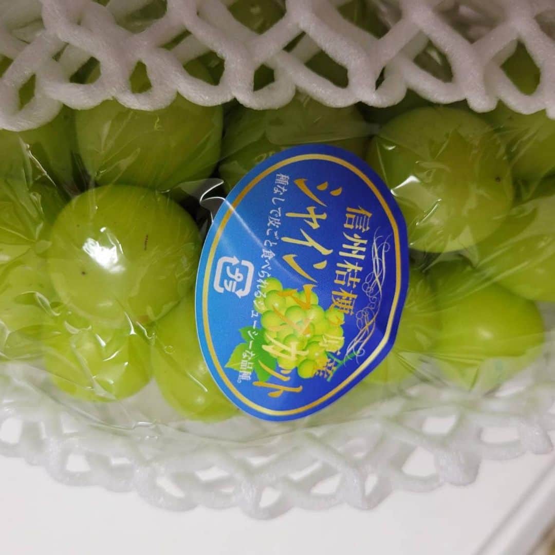 へんな魚おじさんのインスタグラム：「今年も美味しいブドウありがとうございました❗」
