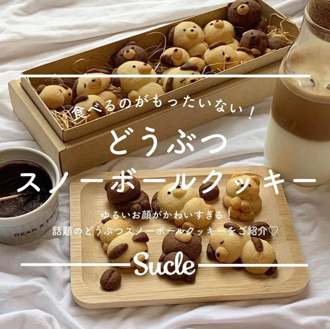 SUCLEのインスタグラム