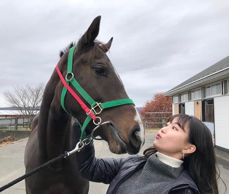 津田麻莉奈さんのインスタグラム写真 - (津田麻莉奈Instagram)「トゥザグローリー産駒🐴 ツダグローリー号が今日 園田1レースで念願の初勝利を挙げました！！！ 私に競馬を始めるきっかけをくれた大好きな馬 トゥザグローリーの産駒で 父に似て可愛い顔立ちの女の子です。  一昨年のサマーセールで出会い、 名義は某黒光り社長で お世話になっている方々の共有馬です。 私は命名権を頂きました。  私の希望で田中淳司先生にお世話になり、 落合玄太騎手とのコンビで昨年夏に ホッカイドウ競馬でデビューの日を迎えました。  その後、笠松、再び道営、園田へと移籍して 18戦目で念願の初勝利！！ スタートでは他馬と接触するような シーンもありましたが怯むことなく 4コーナーは大山龍太郎騎手が素晴らしいエスコートで インを突き、直線は後続をどんどん離しての勝利👏👏👏  完全にたまたまですが… 私の誕生日(6月6日)と同じ6枠6番で勝ちました🙀  今日はマーケットプレス前場の担当で 9時からの生放送だったため リアルタイムでは観られませんでしたが 放送を終えレース映像を観て感激………。 大好きな馬の子供でレースを勝つ夢が叶いました🥲 浦河のトゥザグローリーお父さんにも報告しに行かないと。  関係者の皆さま、本当に本当にありがとうございます。 ここまで一度も怪我や病気もなく 元気で走ってくれているのは関係者の皆さまのおかげです。 デビューしてからコロナ禍で会えていないので 一度はレースを生で観に行けるといいなと思います🏇  1枚目の写真はデビュー前エスティウィンファームさんに行かせて頂いた時の、 2枚目は一昨年のサマーセールでのものです。 3枚目以降の素敵な写真は田中一巧先生からお送りいただきました。  ああ、嬉しいなあ…  今夜17:30〜 楽天競馬LIVEです🐴 今夜は#レディスプレリュード ！ ぜひご覧ください。 ▶️https://youtu.be/Ds-9Bo8qLWs  元気が余っていたら、 楽天競馬LIVEの後に自分のYouTubeで ツダグローリーの祝勝会配信しますね🍺 (やるときはストーリーとTwitterでお知らせしますね)  #感謝 #トゥザグローリー #ツダグローリー #まりなる #津田麻莉奈」10月7日 13時49分 - tsudamarinal