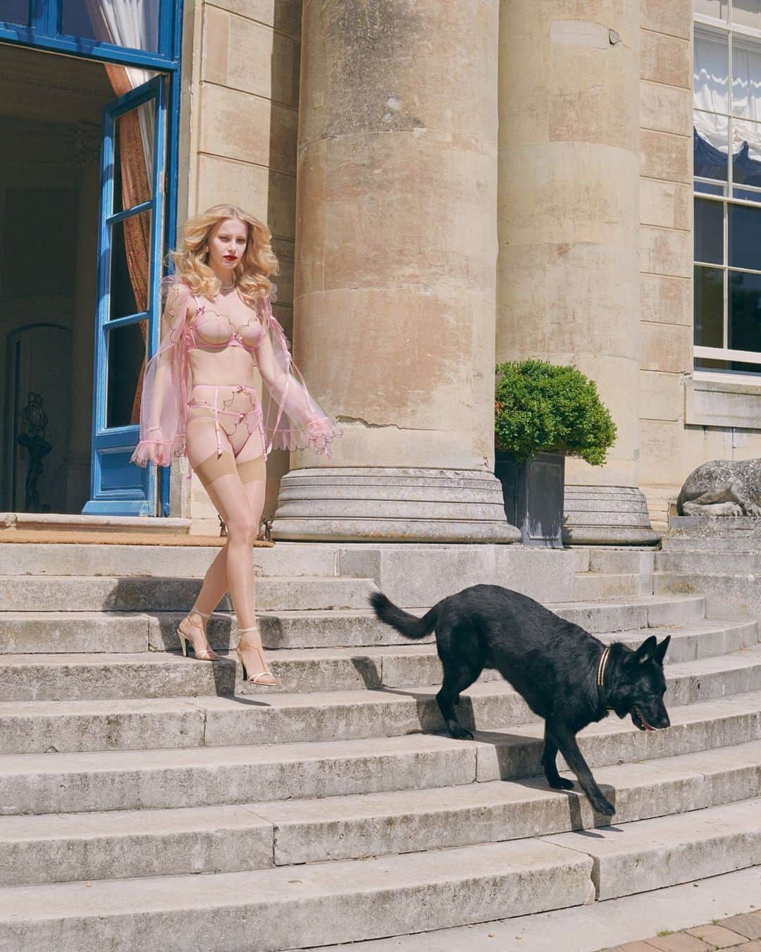 Agent Provocateurのインスタグラム