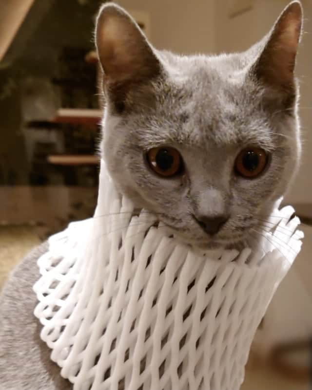 大地真央のインスタグラム