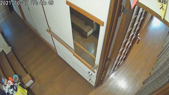 のインスタグラム：「バーバ見守りカメラに映った大慌てで2階に逃げるおいなりちゃん。 びっくりしたね〜。  10年ぶりの震度5強の川口市です。 うちは無事でした。 猫らも落ち着きました。 ありがとうございます。  #うちの猫ら #oinari　#猫 #ねこ #cat #ネコ #catstagram #ネコ部 http://kachimo.exblog.jp」