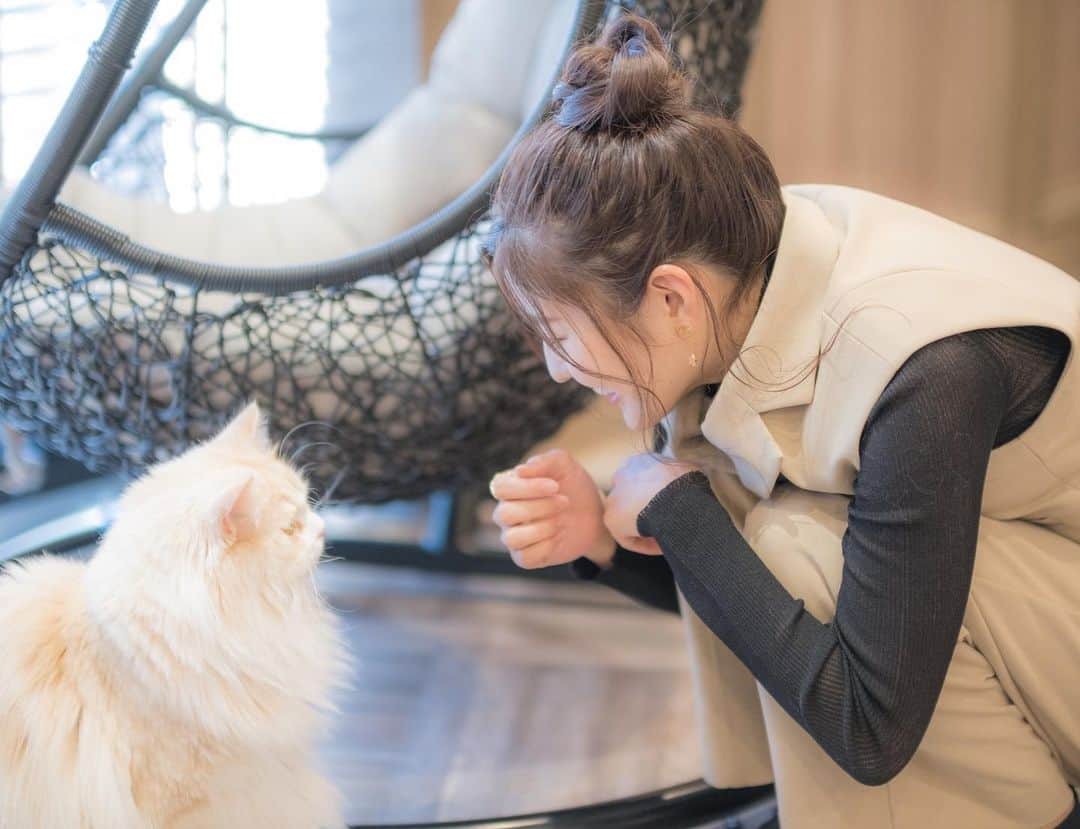 林ゆめさんのインスタグラム写真 - (林ゆめInstagram)「猫カフェ🐱💛 可愛くて癒される〜  お団子できるくらい髪の毛伸びた😌✨ でもドラマの撮影が終わったら鎖骨くらいまで切っちゃおうかな〜て思ってる😳 ロング派の人も多いんだけどね。笑 みんなはどっちが好き？🥰」10月8日 18時45分 - ___yuume.18