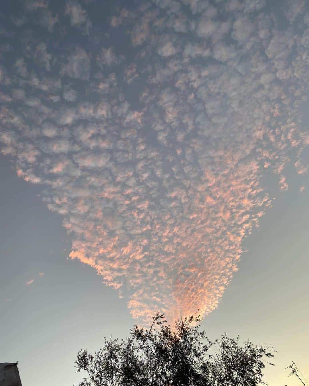 森山直太朗さんのインスタグラム写真 - (森山直太朗Instagram)「彩雲。」10月8日 18時52分 - naotaromoriyama