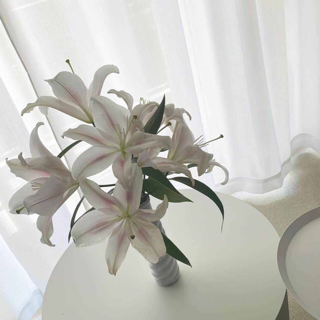 中林美和さんのインスタグラム写真 - (中林美和Instagram)「もう2週間以上咲いてくれてる。 本当にいい香り♡」10月8日 11時01分 - miwanakabayashi