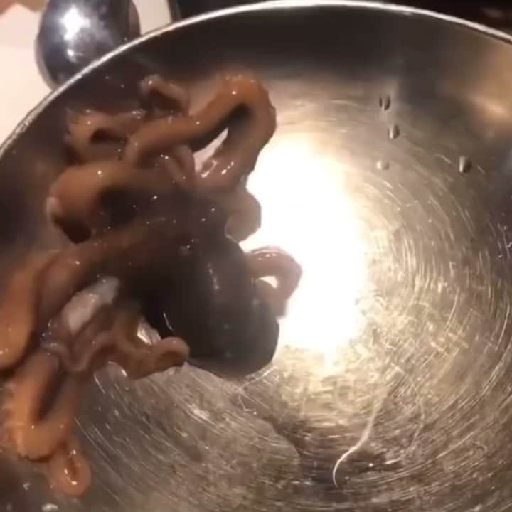 KollaBoのインスタグラム：「【踊り食い🐙】  kollaBoで食べられる タコのサンナッチ🐙✨  日本では馴染みがないですが、 韓国ではとても有名な料理です😊！  タコが生きているので口に入れると 吸盤がくっつく事も👀✨  是非一度ご賞味ください🌈  ※お知らせ 緊急事態宣言の発令に伴い、下記の店舗に変更がございます。 KollaBo 池袋店・千里中央店、ポンテポルタ千住店　20:00 (LO 19:45)  KollaBo 西宮店　平日19:00 (LO 18:45) 、土日祝休業 KollaBo お台場店　商業施設とともに5/31まで休業 他の店舗はこれまで通り20時(LO.19:45)まで営業致しております。  なお、現在18:30までのご予約で、ご飲食代金が10%OFFとなっております✨  -----------＊----------＊----------＊---------  KollaBoで"LINE@"開始!!✨! 登録するだけで、"お得なクーポン"や "料理のサービス"がもらえちゃいます♪ 【@kollabo】 をLINEアプリでID検索して追加してくださいね😊✨  ＊-----------＊----------＊--------＊---------  #kollabo #韓国料理 #韓国 #韓国グルメ #焼肉 #肉肉肉 #肉好きな人と繋がりたい #肉好き #肉食 #肉テロ #東京グルメ #東京 #都内グルメ #ヘルシー #女性に大人気 #インスタグルメアワード2020 #食べログ #食べるの好きな人と繋がりたい #グルメ好きな人と繋がりたい #マッコリ #石焼きビビンバ #ビビンバ#yakiniku #meatlover #wagyu #foodstagram #foodporn #サンナッチ #タコ」