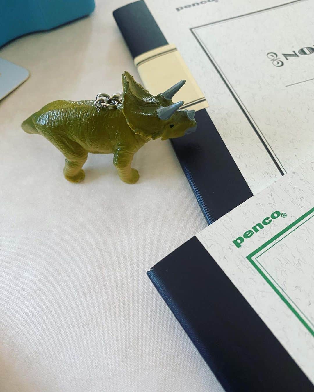 風間ゆみえのインスタグラム：「ワニとか、恐竜のモチーフ🦕🦖 好きなんです。  写真2枚目に、リクエストにお応えして、買ったもの写真撮りました。 @desklabo」