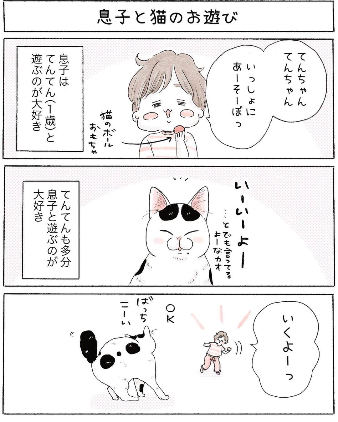 弓家キョウコのインスタグラム：「【日常漫画】息子と猫のお遊び 🌈ブログでは自主連載の最新話をアップしています。 (ストーリーズから飛べます☺️)  これ始まるとエンドレスです。 床はもちろん傷だらけです…  今描いてる自主連載のテンションと 猫、日常漫画のテンションがギュンギュン違うため 自主連載→平日 猫、日常漫画→週末 とザックリわけています🙏 ブログ先行配信の曜日のためインスタの方は曜日ずれこみます🙇‍♂️」
