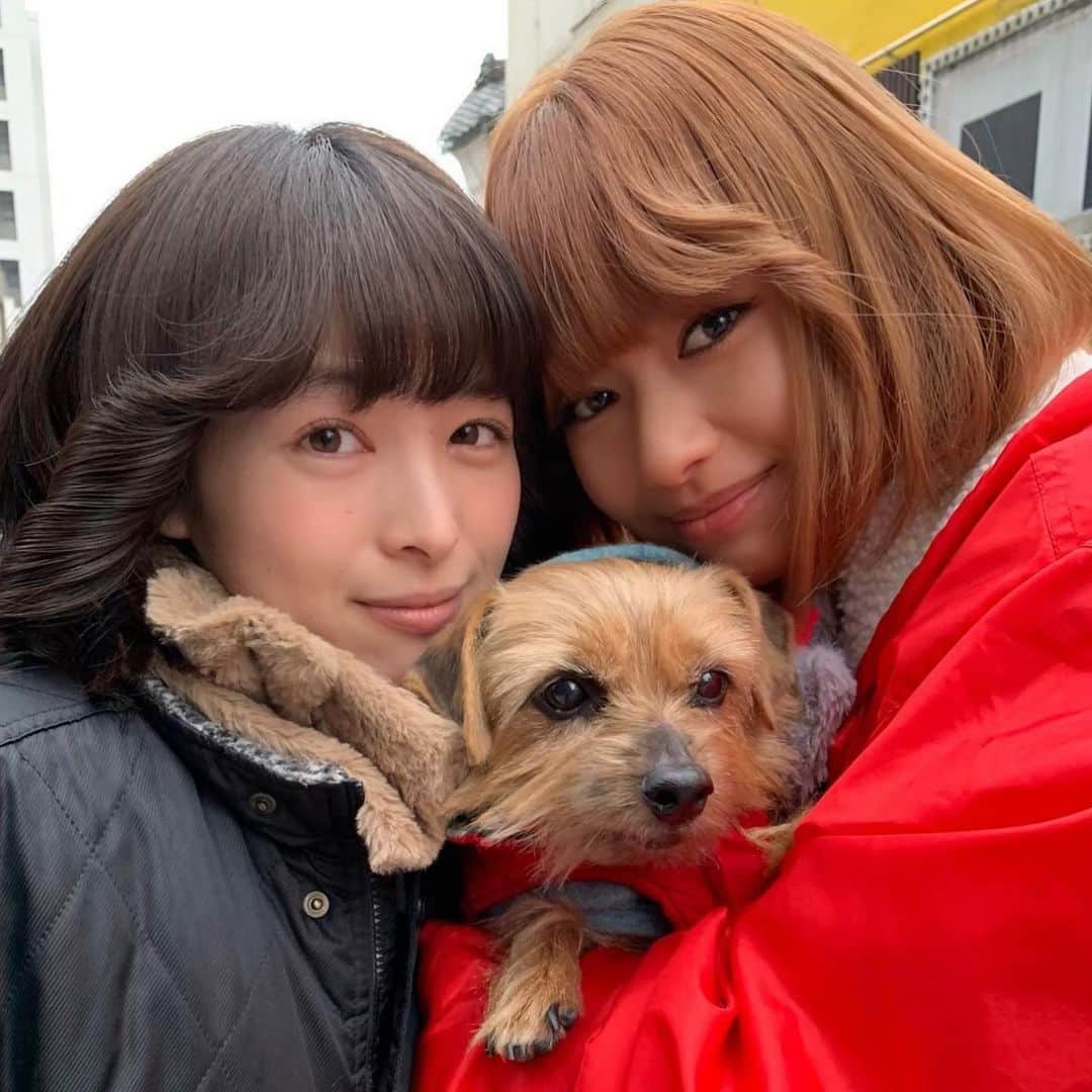 日本テレビ「今日から俺は‼︎」のインスタグラム：「美女にモテモテの我らが癒し犬・あられは女の子です！ 今夜！金曜ロードショー！」