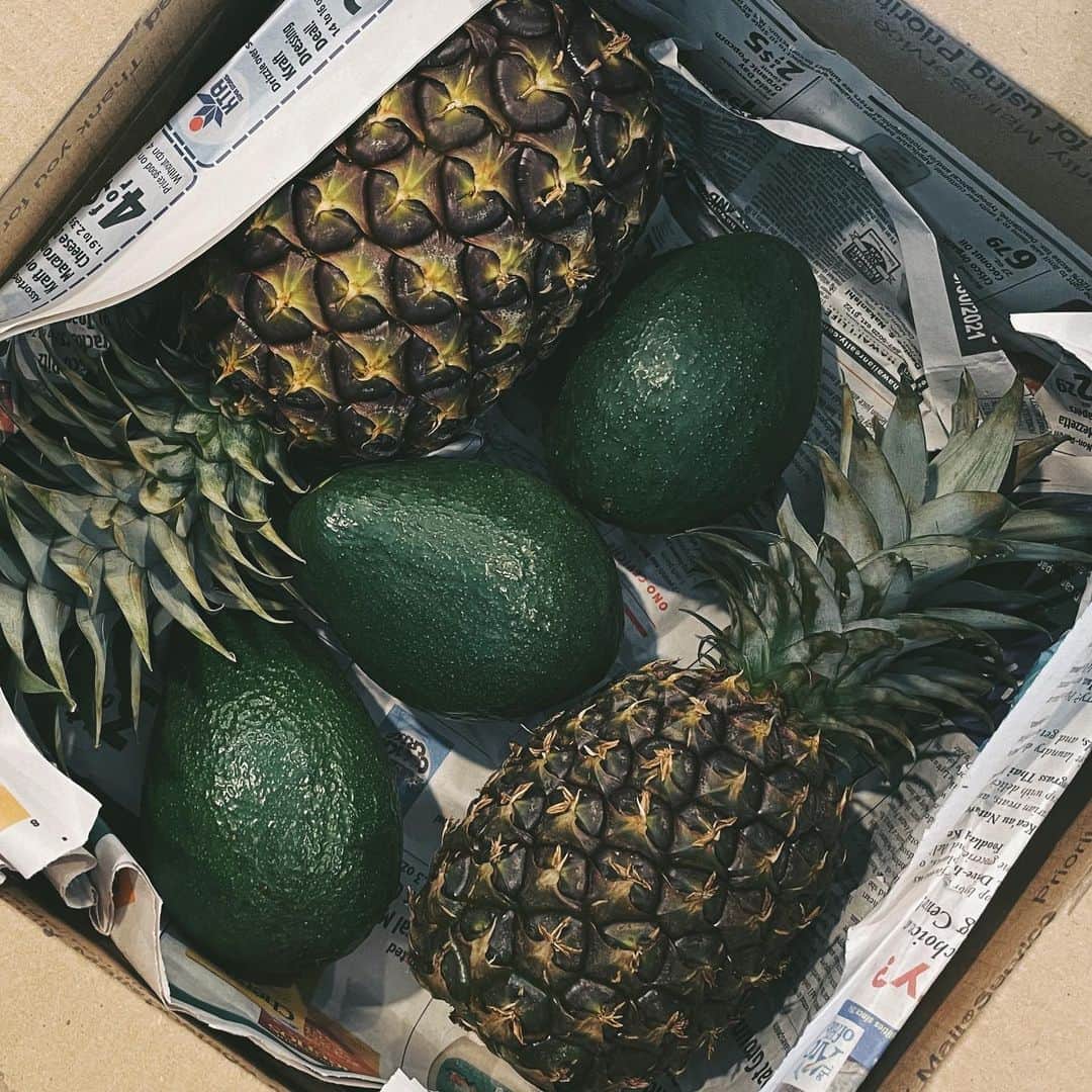 吉川ひなのさんのインスタグラム写真 - (吉川ひなのInstagram)「ハワイ島からの贈り物♡ すーーーごくおいしい🍍と🥑  いつからかわたしは、CHANELの箱を開けるより、こういう箱を開けるときのほうがときめくようになっていた。。。😝🙏🏻💕  @islandistjunka ありがとう🥳」10月8日 15時54分 - hinanoyoshikawa