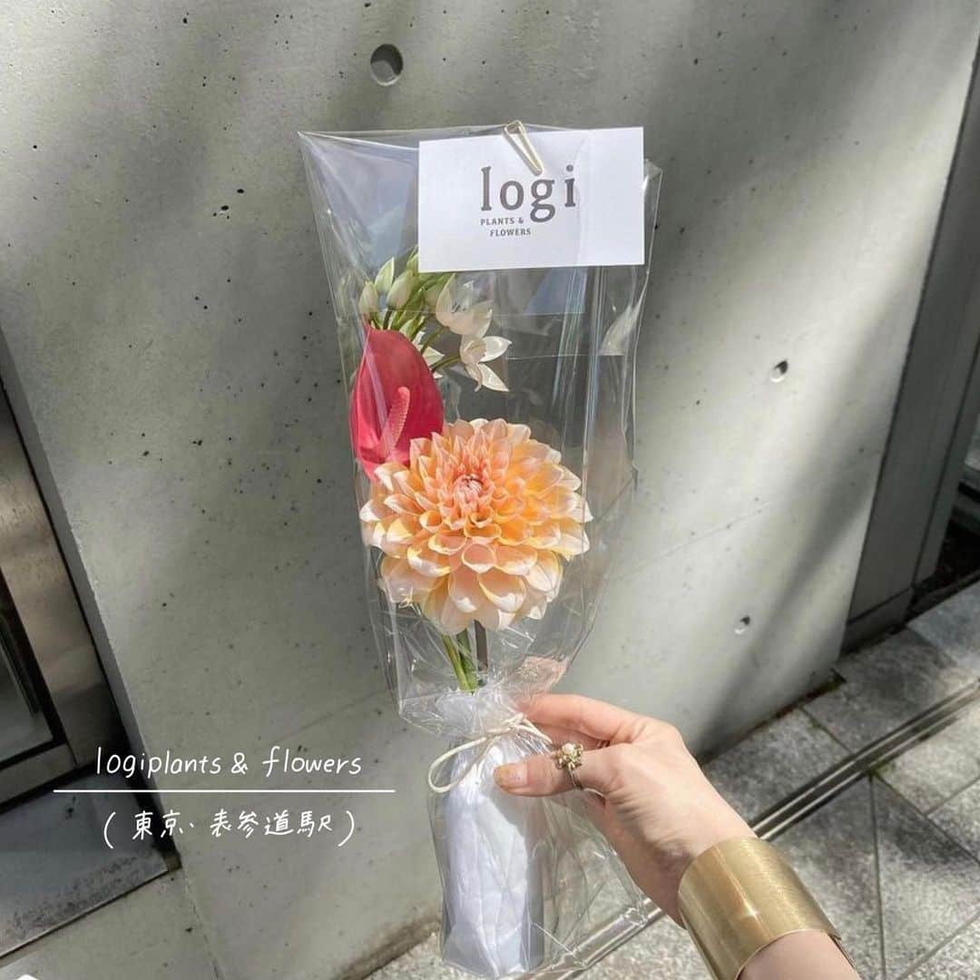 ハルハルさんのインスタグラム写真 - (ハルハルInstagram)「プレゼントにもおすすめ💐おしゃれなお花屋さん特集  あんにょん！ ハルハル編集部のみみちゃんですꪔ̤̮ ♡  特別な日に大切な人へのプレゼントにもよし◎ いつも頑張ってる自分へのプレゼントにもよし◎  自己肯定感も上がるような素敵なお花屋さんを 紹介するのでぜひ足を運んでみてね🌷  〰︎  DILIGENCE PARLOUR @diligenceparlour 📍東京都渋谷区神宮前4-12-10表参道ヒルズB1F 🚃表参道駅より徒歩2分  TOKYO FANTASTIC 表参道店 @tokyofantastic 📍東京都港区南青山3-16-6 🚃表参道駅より徒歩3分  TOKYO FANTASTIC 青山店 @tokyofantasticaoyama 📍東京都港区北青山3-8-11 2F 🚃表参道駅より徒歩2分  logiplants&flowers @logiplantsandflowers 📍東京都港区南青山3-14-10 🚃表参道駅より徒歩4分  IKKAYA OMOTESANDO @ikkaya_omotesando 📍東京都港区北青山3-10-1 🚃表参道駅より徒歩1分  〰︎  他にもおすすめのお花屋さんがあったら ぜひコメント欄から教えてください💬  ┈┈┈┈┈┈┈┈┈┈┈┈┈┈┈┈┈┈┈  今回の可愛いお写真は、 以下の方からお借りしています♡ ‌ Thanks for…  @akiho_k9426 さま @shokohomma さま @amikomirippo さま @ao_i527 さま @rinon__theater さま @suzylily._ さま @pu_320 さま @mgmilk___ さま  #ハルハル をタグ付けしていただくと、 ハルハルのInstagramに投稿させていただくために ハルハルからご連絡させていただく場合がございます  #하루하루 를 태그하시면 하루하루의 인스타그램에서 사용할 경우가 있습니다. 사용하기 전에 하루하루로부터 연락을 드리겠습니다.  ┈┈┈┈┈┈┈┈┈┈┈┈┈┈┈┈┈┈┈  #お花のある暮らし#フラワーブーケ#フラワーアレンジ#お花屋さん#フラワーショップ#ドライフラワー#ドライフラワーのある暮らし#ドライフラワーのある生活#誕生日プレゼント#花束アレンジ#東京フラワーショップ#東京花屋#東京花屋巡り#表参道花屋#DILIGENCEPARLOUR#TOKYOFANTASTIC#logiplants&flowers#IKKAYAOMOTESANDO」10月8日 16時56分 - haruharu_furyu