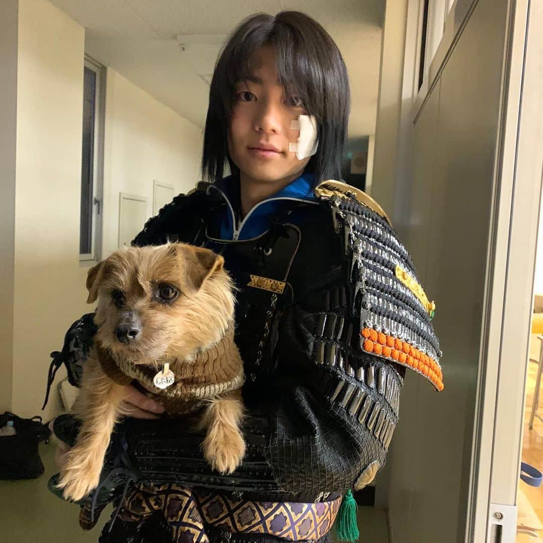 日本テレビ「今日から俺は‼︎」のインスタグラム：「武士と犬。 #伊藤健太郎 #あられ #今日俺金ロー」