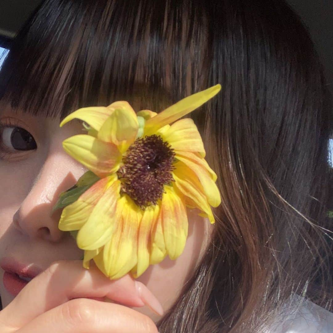 山崎美優（みゆ）さんのインスタグラム写真 - (山崎美優（みゆ）Instagram)「🌻」10月8日 20時30分 - miyu_911_m