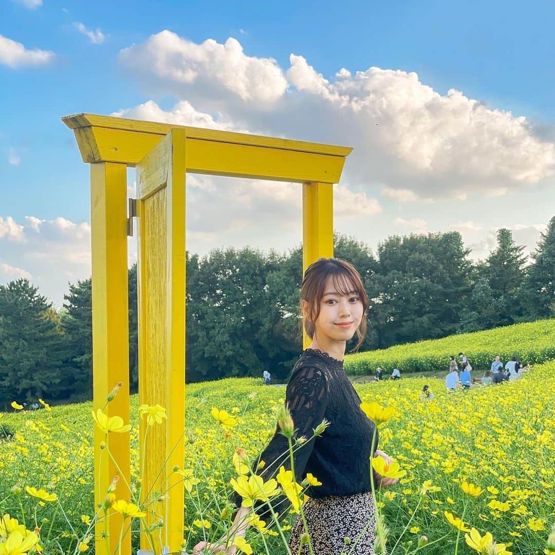 田中杏樹さんのインスタグラム写真 - (田中杏樹Instagram)「全てiPhoneで撮ったとは思えない綺麗さ🥺💗 さすがです！ 2枚目のわたし、とても楽しそう😂  #昭和記念公園#秋#自然#ポートレート#撮影#portrait#iphone#autumn#showakinenpark」10月8日 21時34分 - tanaka_anju