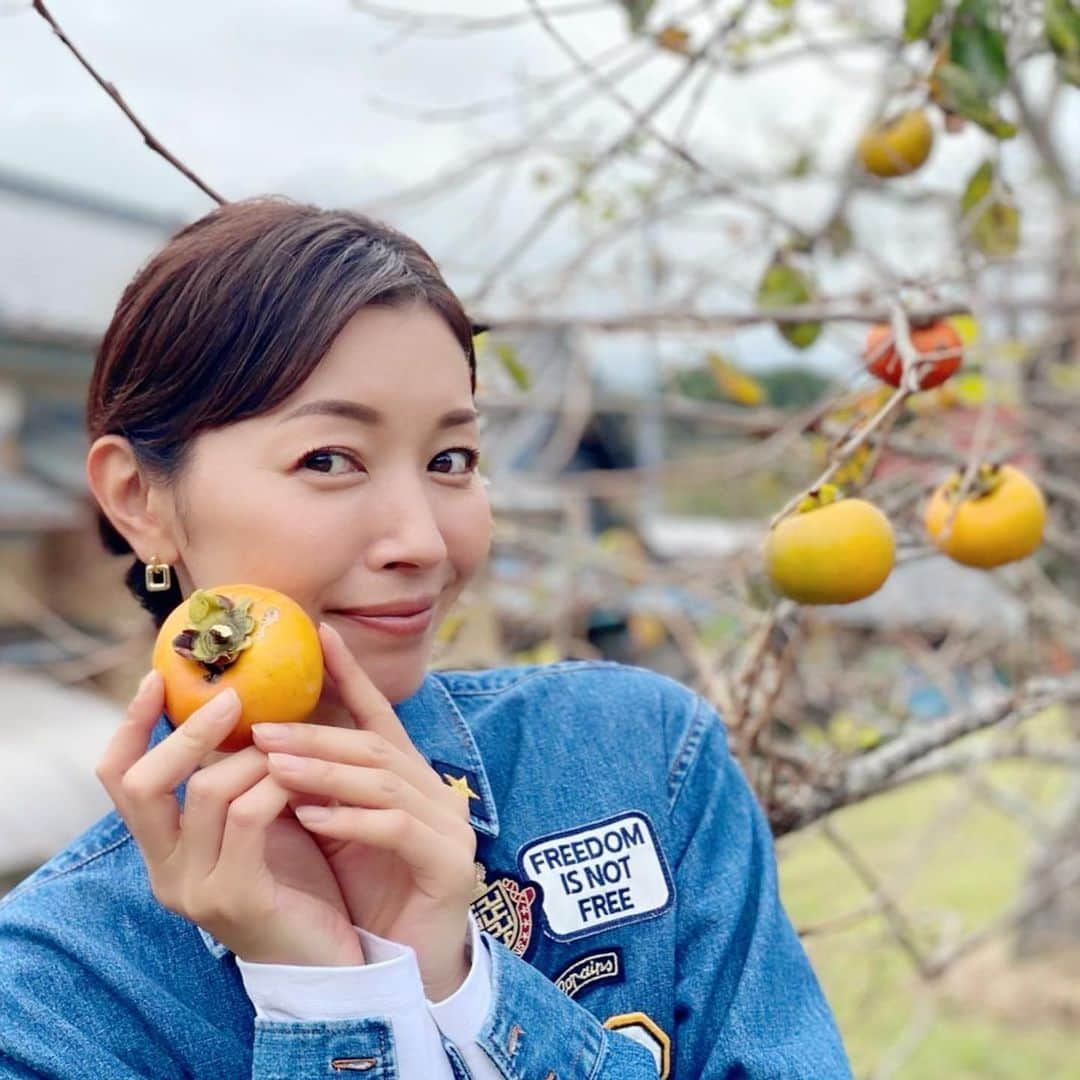 滝沢沙織さんのインスタグラム写真 - (滝沢沙織Instagram)「こんばんは😊✨ 柿の美味しい季節ですねぇ‼️ ２枚目動画、私、何言ってるかわからないですけど、何に驚いてたんだっけかなぁ？（笑） 自分でも忘れていますが、とにかく、柿を収穫しましたよぉ〜💕 #滝沢沙織 #柿 #美味しい柿 #季節のフルーツ #旬のフルーツ #収穫 #動画何言ってるかわからん  #とにかく楽しかった」10月8日 21時30分 - saori_takizawa.official