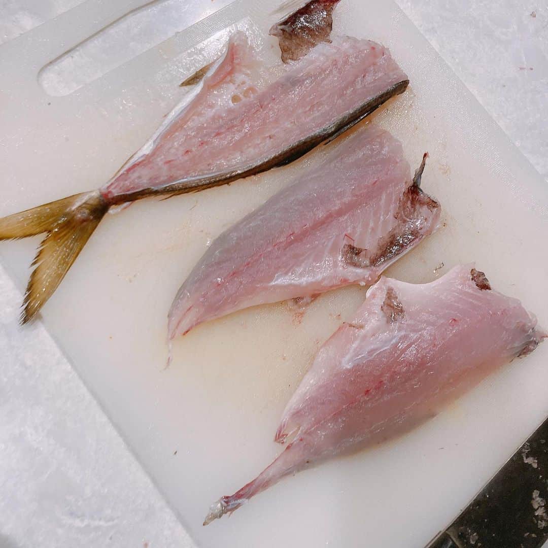 森川夕貴さんのインスタグラム写真 - (森川夕貴Instagram)「* * アジをさ、 釣ってさ、 捌いてさ、 食べたとさ。  めでたし。めでたし。  #猫にアジはだめだとさ。 #コマセ釣り」10月8日 21時50分 - yuuki.morikawa_ex