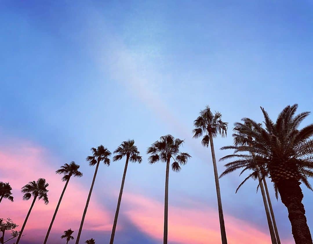 片山萌美のインスタグラム：「🌴 #定期的nature #japan」