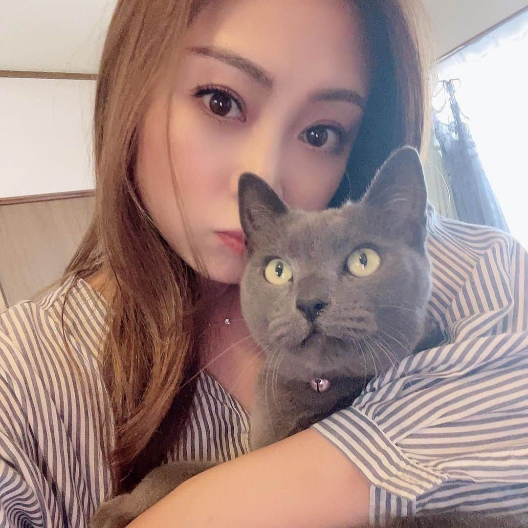 辰巳奈都子さんのインスタグラム写真 - (辰巳奈都子Instagram)「またまた沖縄のやちむん食器で🥰 大好きなお蕎麦アレンジ2種  豚挽肉の甘辛坦々蕎麦と、アボカドとしらす、トマトのオリーブオイル和えサラダ蕎麦😚  長野県に遊びにいった時にいただいた 『雪ん子蕎麦』で作ったよ✨  長野の上田市に仲良くさせていただいている親子のお二人と  夏の終わりに、地元の人気のかき氷屋さんに行ったり、大好きな自然派ワイン専門店に行ってワインを選んで自宅で料理しながら飲んだり ペットのお猫様と戯れたり、自販機求めて田んぼ道歩いたり。  東京じゃない場所で、その土地の知らない場所へ行くって、私にとって、 すごい大切な時間🍀  二つのアレンジ蕎麦のレシピは 出来上がり次第追記します🤲🏻 （レシピ書くのとてと苦手なんです…）待っててね😍」10月9日 0時32分 - tatsumi_natsuko