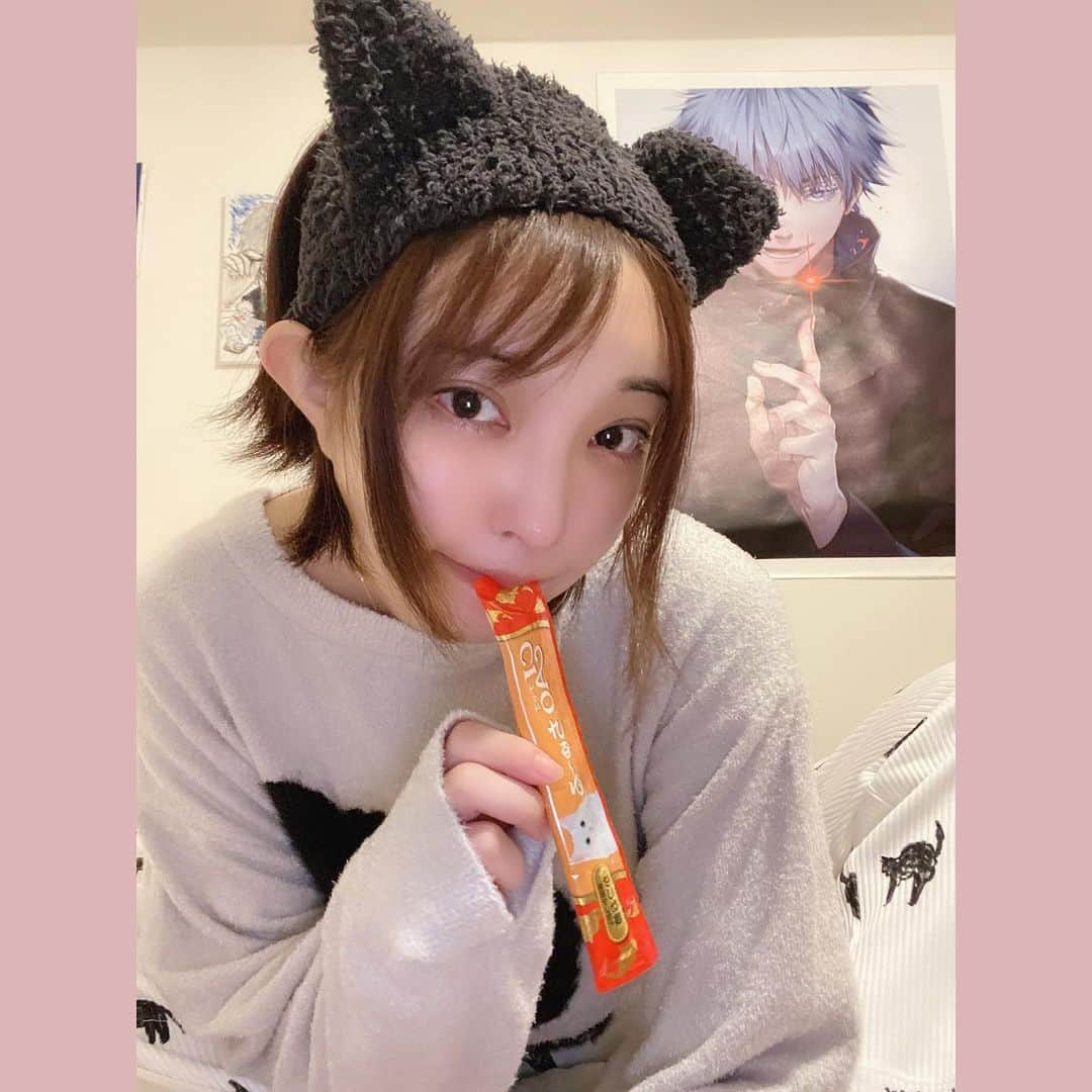 まいてぃ（粕谷まい）さんのインスタグラム写真 - (まいてぃ（粕谷まい）Instagram)「しーなさんがお誕生日にくれたジェラピケ可愛すぎる💓💓💓 ハロウィン限定のらしくて猫耳ヘアバンドもくれた😭😭 ・ ・ ちゅ〜る加えて写真撮ってたらねこ様釣れたよ♡笑 ・ ・ せっかくなので動画も撮りました🥰🥰🐱🐱  ほんとにほんとにありがとうございます✨ 大事にする！！！！！ ジェラピケもしーなさんも！😭💓」10月9日 11時16分 - maity_0917