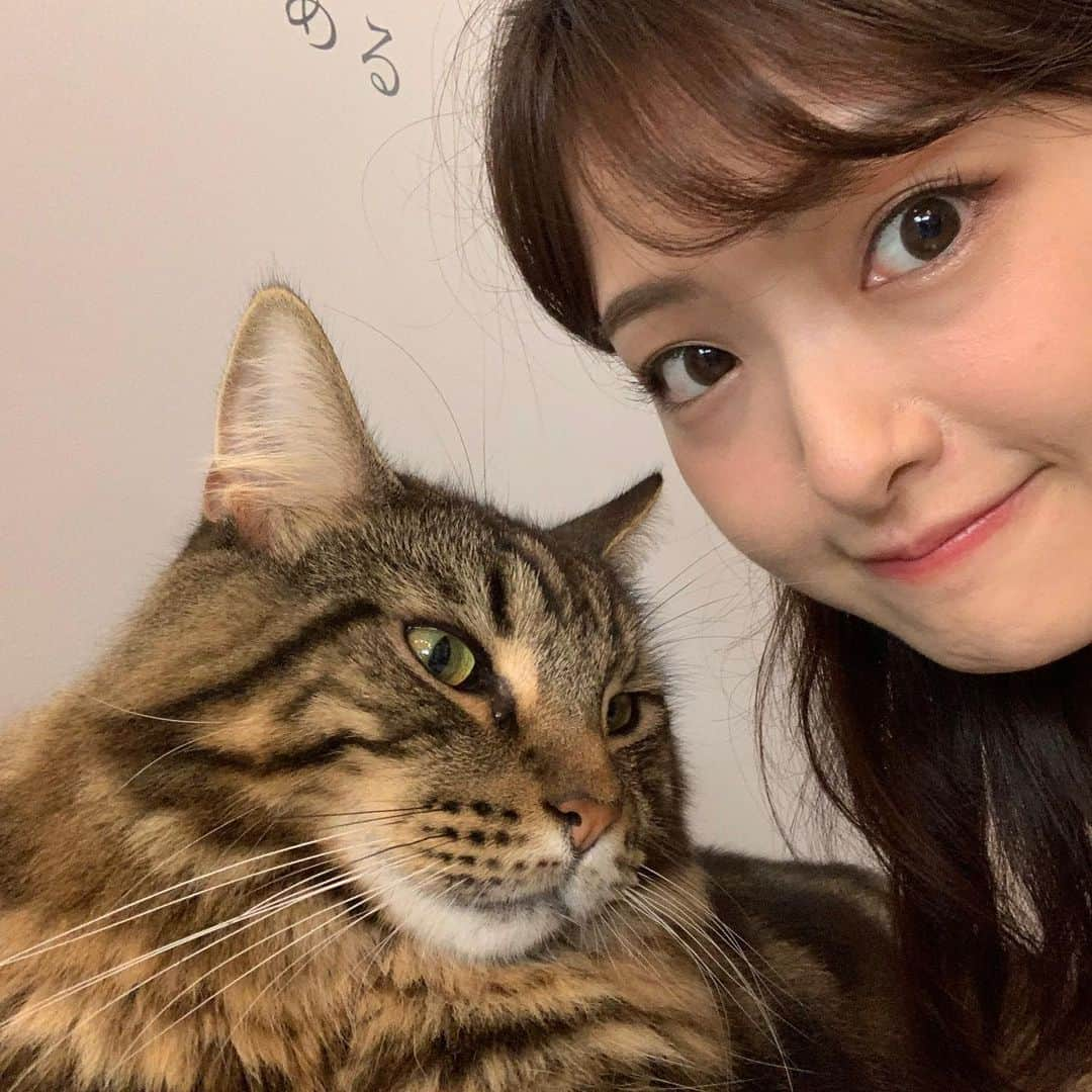 遠野愛さんのインスタグラム写真 - (遠野愛Instagram)「浮気の決定的瞬間🐈‍⬛ . . . . 仕事だから仕方ないの！許して！好きでいくわけじゃないの！と説明して行ったけど 言い訳できないくらい鼻の下のびてる😽 世界一の幸せ空間♡ よく見ると最後の白猫ちゃんのときだけ服違うのはここだけの秘密🤫（2日続けて行った）  #猫 #猫カフェ #猫のいる暮らし #猫スタグラム #ねこ #ねこすたぐらむ #cat #cats #ネコ #🐈 #浮気 #休日 #癒し #catcafe #catcafemeow #猫カフェミャオ #福岡 #天神 #大名」10月9日 12時33分 - ai.tono_fbs