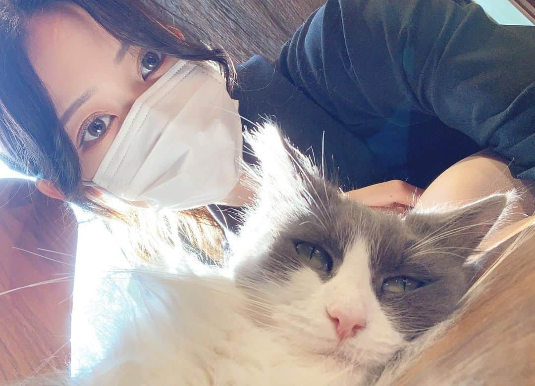 のインスタグラム：「🐈♡ #猫カフェ」