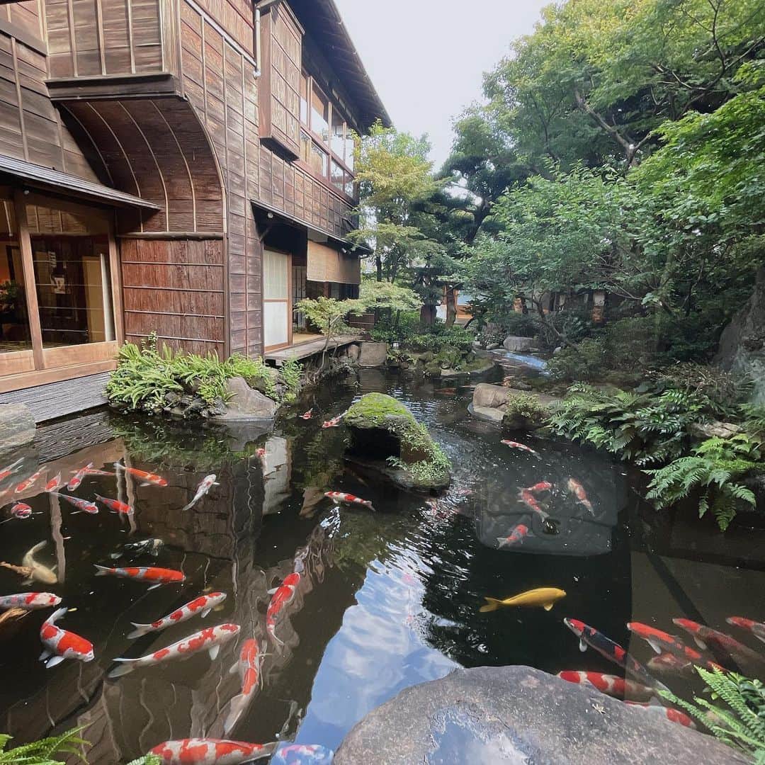 浜田翔子さんのインスタグラム写真 - (浜田翔子Instagram)「すっぴんでランチ行ったら 凄い素敵な旅館にきたみたいな ここ東京なの！😳って感じるくらい 素敵な 場所でした🌿  もし赤ちゃん生まれたら👶 お食い初め（100日祝い） に家族と来たいなぁて思った場所でした。  #お食い初め  #結婚式　#つきじ治作」10月9日 17時55分 - shoko_hamada