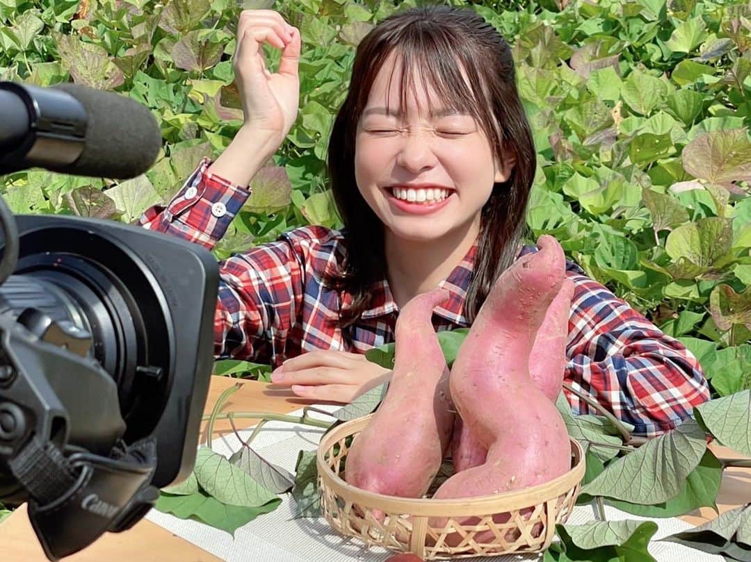 濱村春香のインスタグラム：「. 今回の旬ナビのテーマは ある品種のさつまいもをリサーチ🍠 ⁡ 明日10/10(日)朝9時〜 再放送10/11(月)朝10時〜 ぜひご覧ください☺︎ ⁡ この日もお天気が良くて まぶしくて目が開かない〜ってなってるとこ👀 ⁡ #かながわ旬菜ナビ #旬ナビ #JA #JA神奈川グループ #テレビ神奈川 #tvk #montbell #衣装提供」