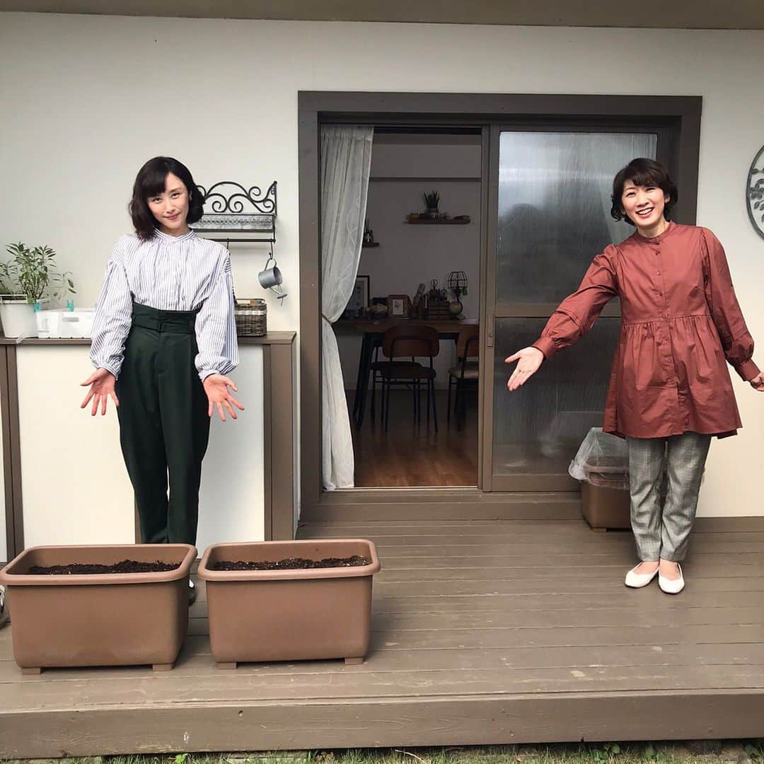 山口もえのインスタグラム：「・  テラスで大事件が😭⁉️ とんでもないことが起こりました💦 大切に育てても失敗はあるんですね😂😭😱  10月10日(日)8:00〜8:25 NHK-E「趣味の園芸 やさいの時間」 もえのプランター菜園「ミニハクサイ」  是非ご覧ください📺  #ガーデニング#やさいの時間 #プランター菜園#TV#家庭菜園 #深町貴子 さん💕」