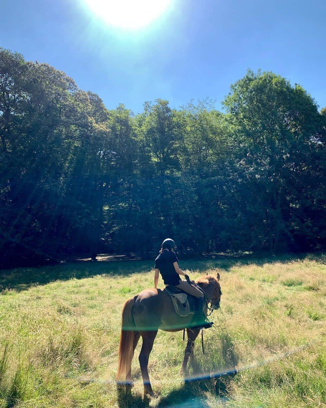 キム・ジェギョン さんのインスタグラム写真 - (キム・ジェギョン Instagram)「🐴타러가고싶다아」11月7日 18時41分 - _kimjaekyung_