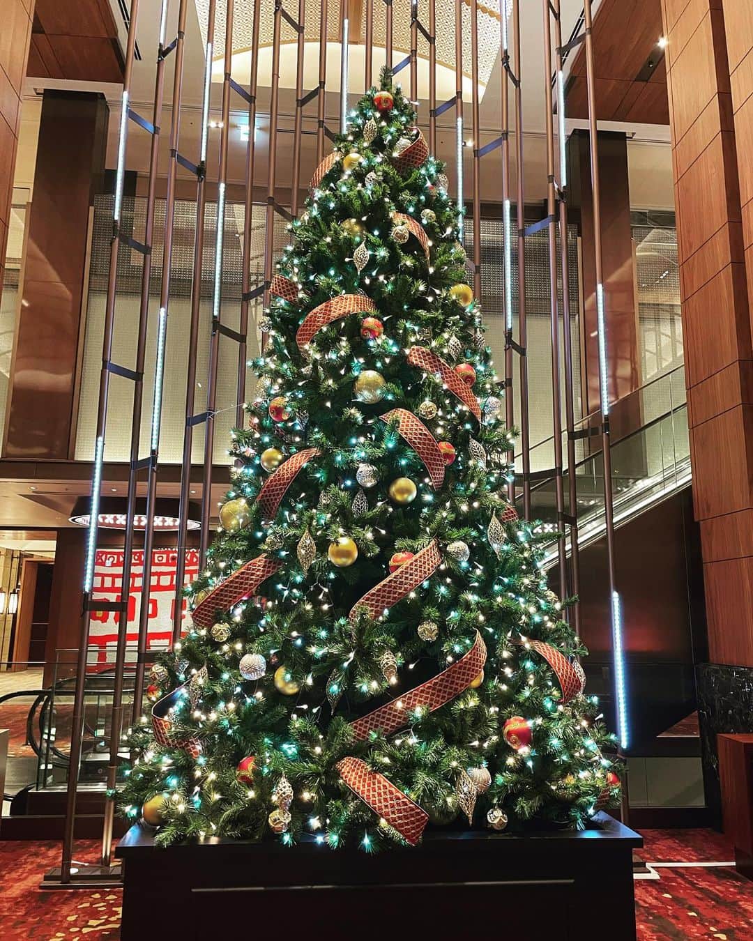 のインスタグラム：「Ready for Christmas 🎄  #一番好きな季節#holidayseason」