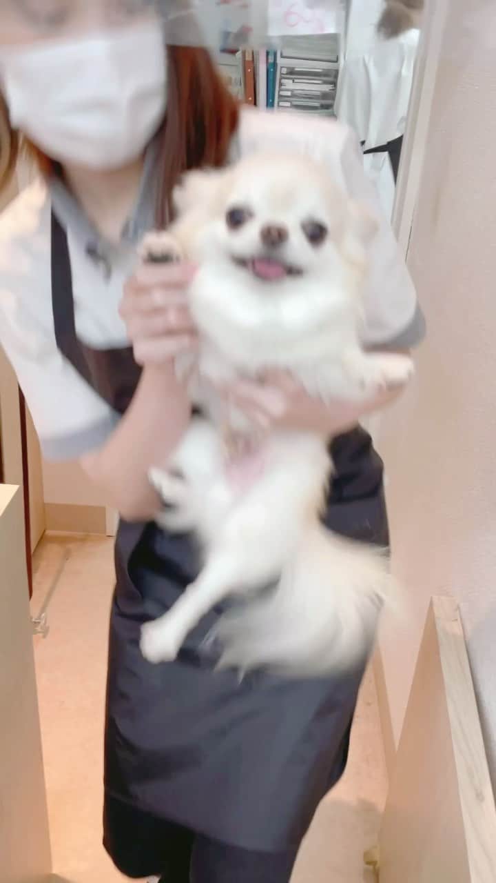∞maki∞??????のインスタグラム