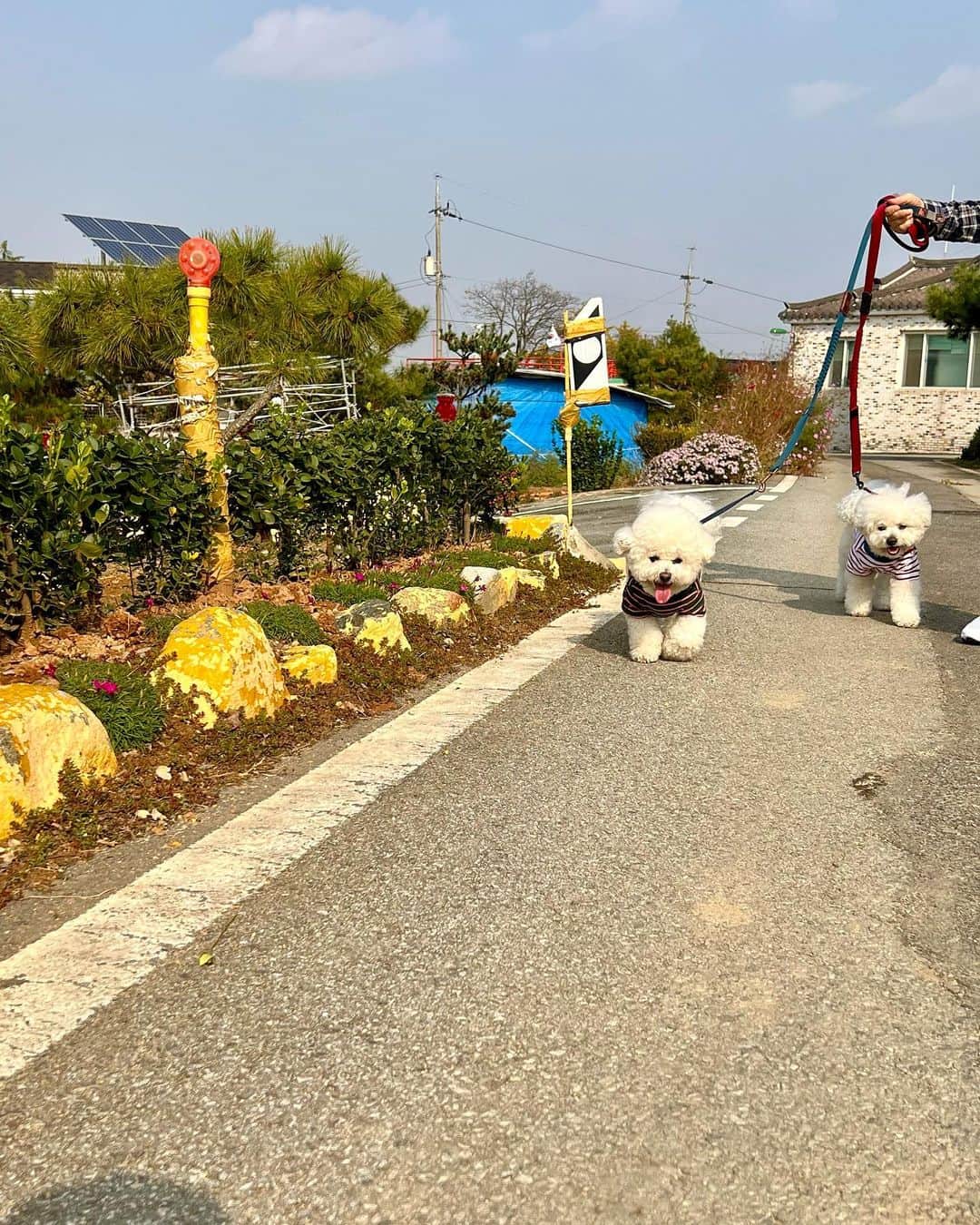 シン・セギョンのインスタグラム：「💛할머니 댁💛」