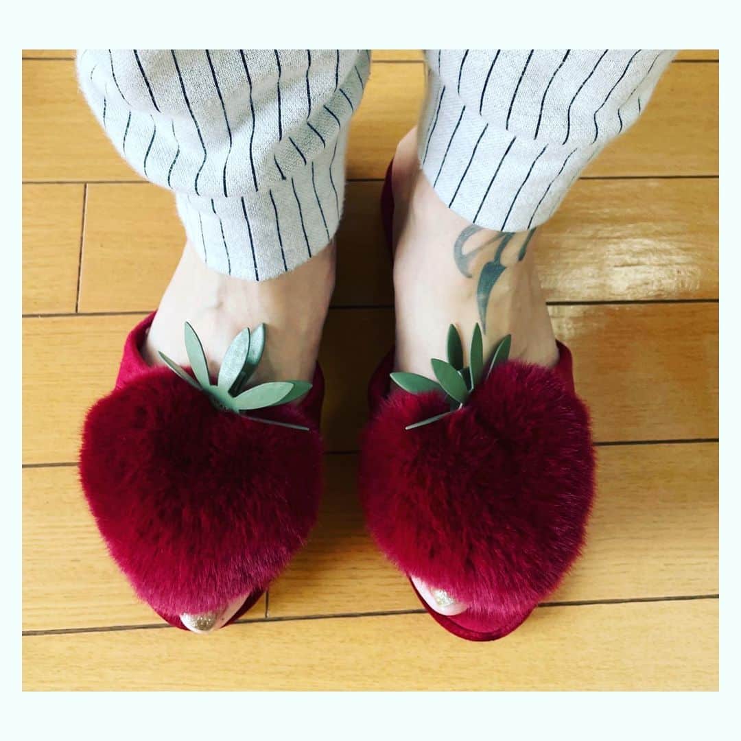 井上貴子のインスタグラム：「セルフギフト  ピケのスリッパ  イチゴチャン  （笑）  Happyで^ ^  #井上貴子 #セルフギフト」