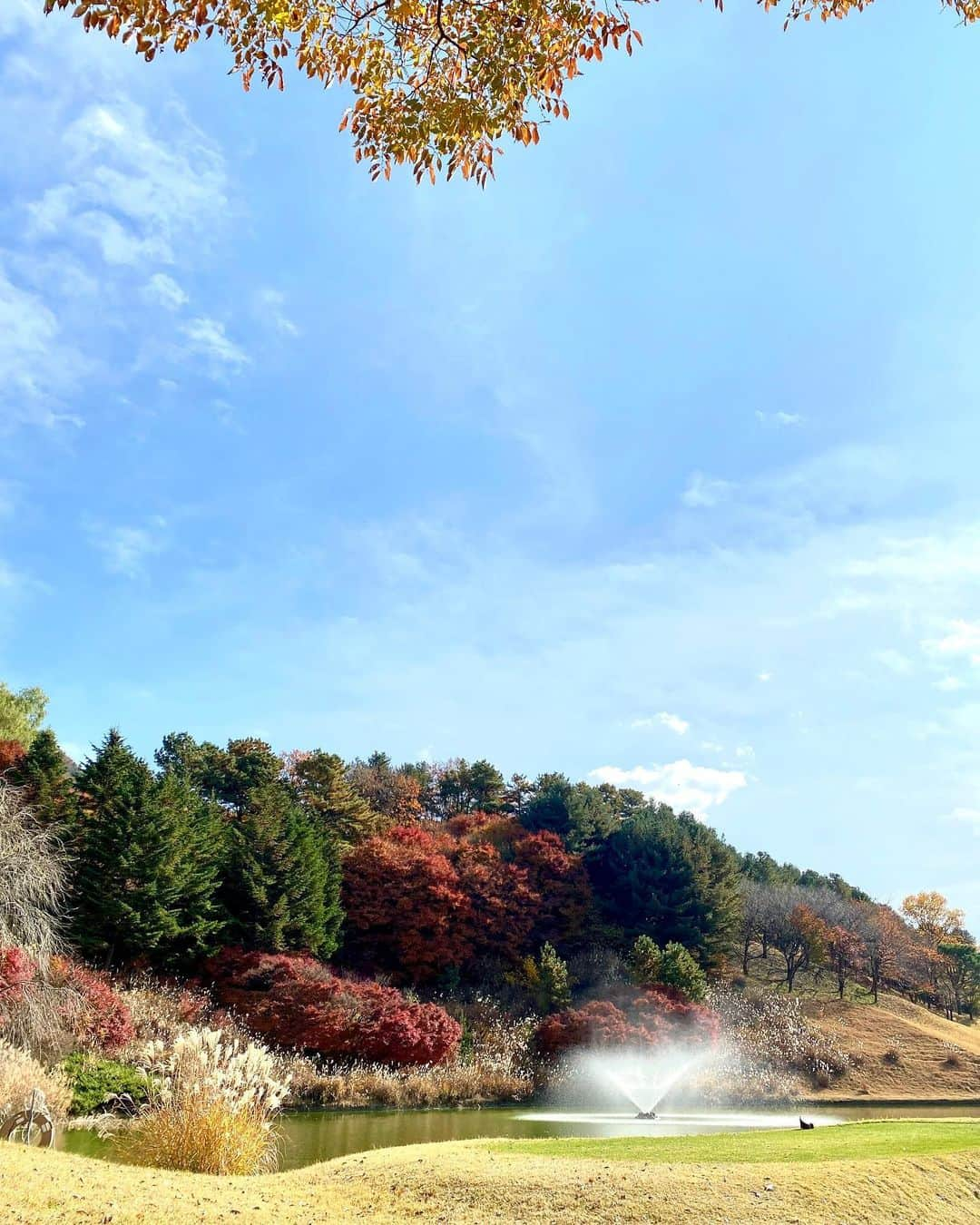 キム・レウォンさんのインスタグラム写真 - (キム・レウォンInstagram)「I love.. 낙엽 내리는.. 아름다운 지산🍂🍁」11月7日 22時57分 - krw810319