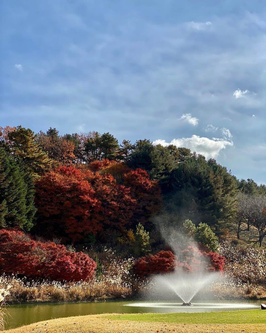 キム・レウォンさんのインスタグラム写真 - (キム・レウォンInstagram)「I love.. 낙엽 내리는.. 아름다운 지산🍂🍁」11月7日 22時57分 - krw810319