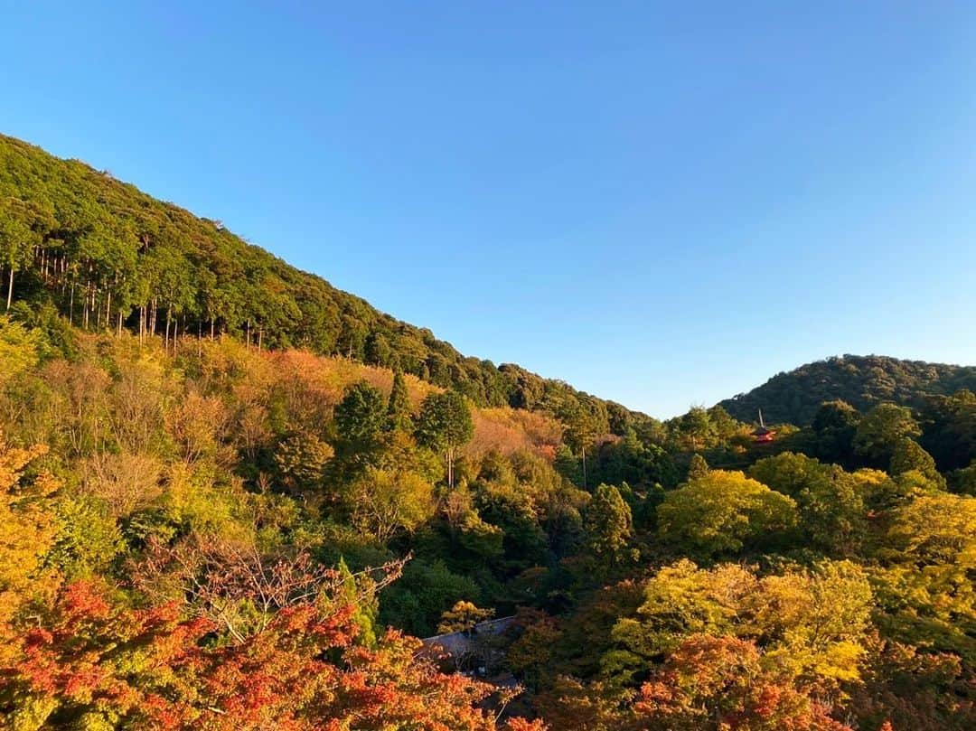 吉田有希さんのインスタグラム写真 - (吉田有希Instagram)「久しぶりの京都👘🍁 #japan #kyoto #travel #autumnleaves #beautiful #nature #family」11月3日 23時03分 - yuuki329_h