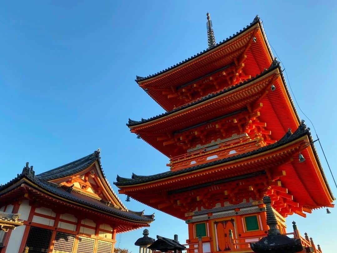 吉田有希さんのインスタグラム写真 - (吉田有希Instagram)「久しぶりの京都👘🍁 #japan #kyoto #travel #autumnleaves #beautiful #nature #family」11月3日 23時03分 - yuuki329_h