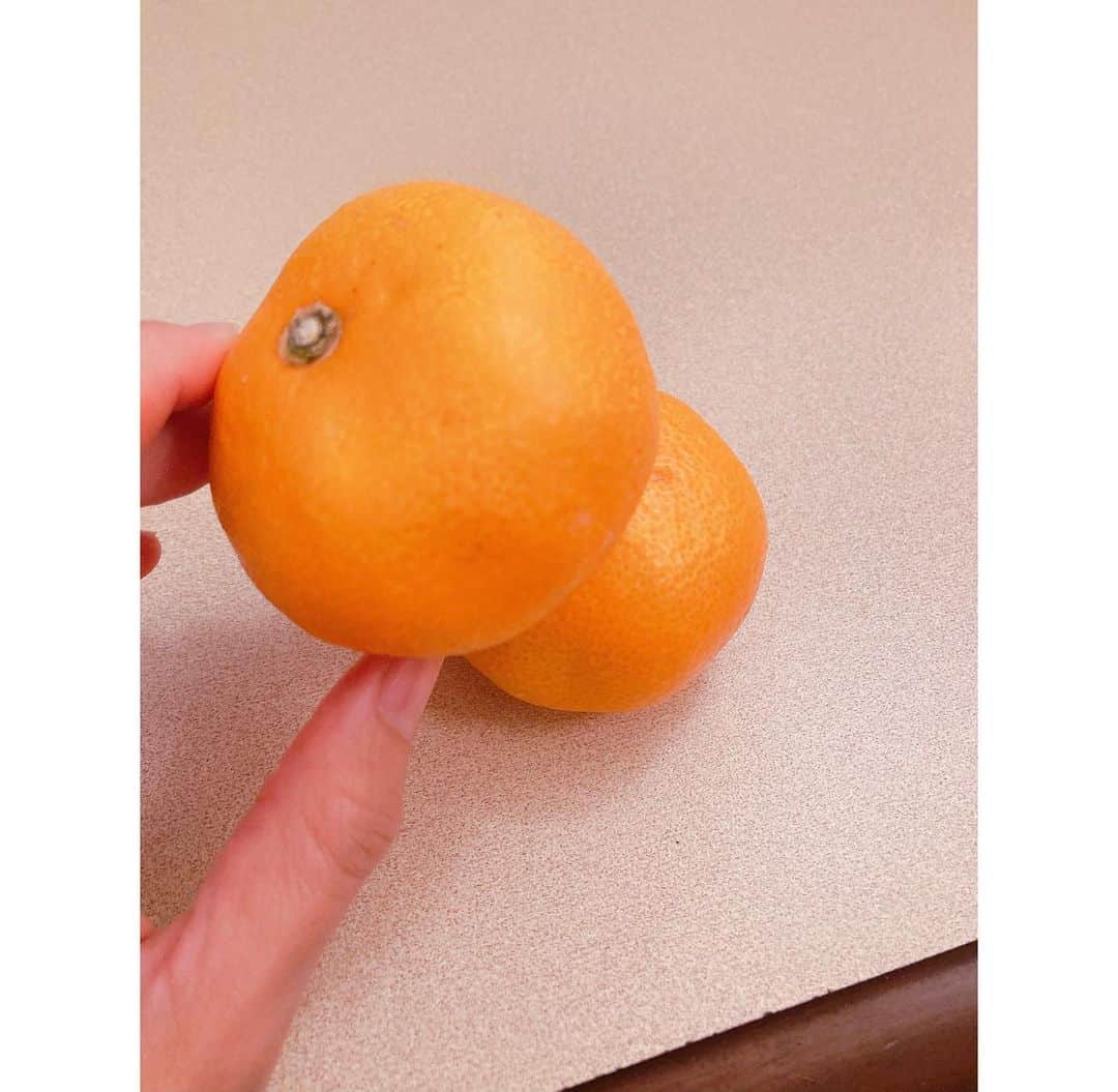 のインスタグラム：「現場でみかん頂きました🍊 今年まだ実家からは届いていないので食べられて嬉しい〜！ 時期ですね、そろそろ。 ありがとうございます✨ また明日から頑張るぞ！！」