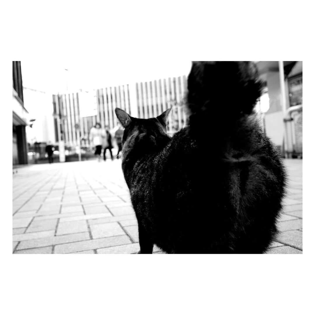 玉置玲央のインスタグラム：「#今日の一枚  今日はいいお尻の日だそうですよ。  #pentaxq7」