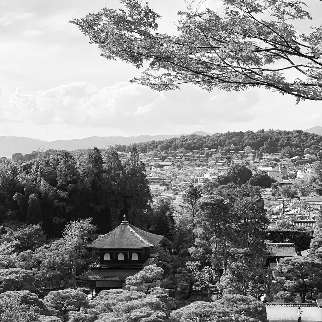 のインスタグラム：「◆GOOD MORNING COFFEE‼︎◆  【KYOTO TRIP】  ストーリーでもお伝えしてましたが、緊急事態宣言も終了し、コロナもだいぶ落ち着いて来たので久しぶりに家族で京都に行って来ました。本格的な紅葉を迎える前の京都はまだ人も少なく、いつもの活気はありませんでしたが...逆に新鮮で居心地は良かったです。  今回1番の目的は奥さんの里帰りでしたが、個人的にはあるミッションを頂き、その可能性を探りに色々と視察させて頂きました。  今まで何度も京都には行ってますが、今回はよりディープな部分に触れる事ができ、刺激をたくさん頂けました。歴史や侘び寂びと言った風情を身近に感じれる町、いつ行っても勉強になります。さすがにノーサーフでしたが...ご飯も美味しかったし、久しぶりの再会もありました！遊んでくれた皆さん、ありがとうございました〜👻  therisingsuncoffee.com  #coffee #coffeebeans  #coffeeroaster  #coffeelab  #coffeeandsurfing  #coffeetime  #coffeelover  #coffeebreak  #coffeeshop  #coffeestand  #coffeeholic  #coffeehouse  #coffee_inst  #coffeemaker  #coffeeshops  #coffeecoffeecoffee  #coffeenclothes  #coffeeaddict  #coffeeculture  #coffeemorning  #coffeemag #specialitycoffee  #kyoto #TRSC」