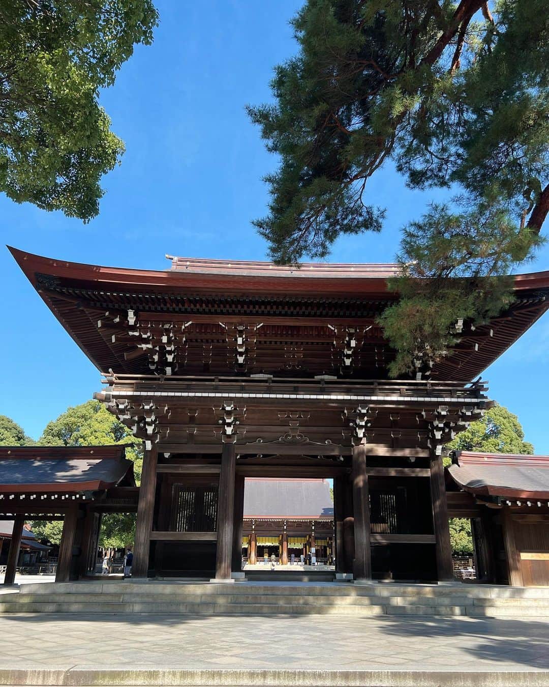 庄司ゆうこのインスタグラム