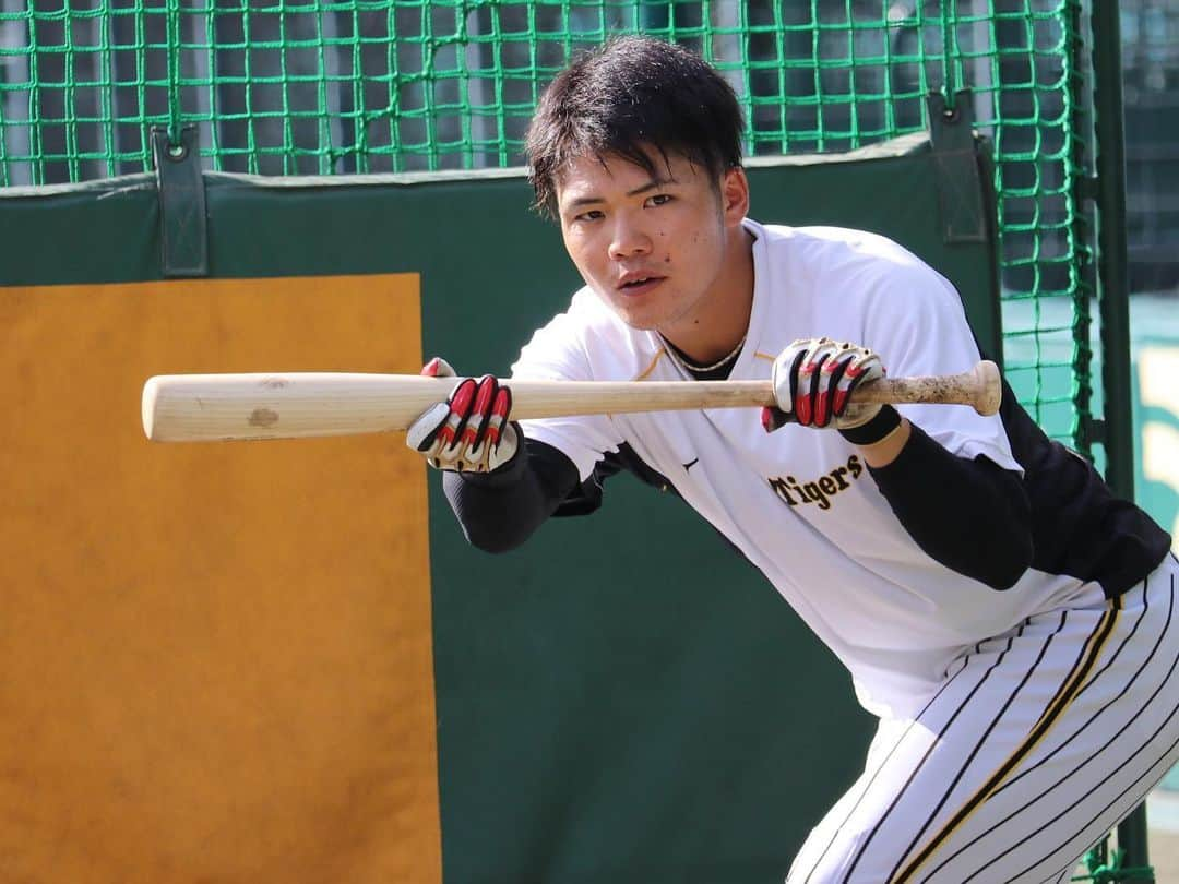 阪神タイガースさんのインスタグラム写真 - (阪神タイガースInstagram)「本日も甲子園で社会人チームとの練習試合が行われます！  #山本泰寛 選手 #小野寺暖 選手 #齋藤友貴哉 選手 #木浪聖也 選手 #島田海吏 選手 #阪神タイガース #挑超頂」11月4日 12時19分 - hanshintigers_official