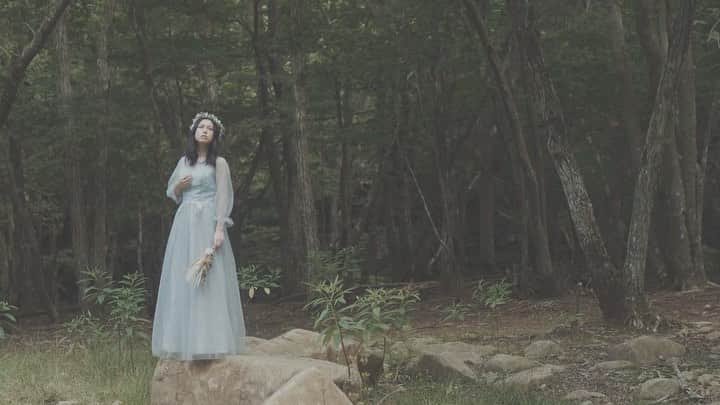 宮澤じゅりのインスタグラム：「.*＊°.○・.°・ . . この暗い雰囲気に静かに響く曲がとても良いです♪ . . こういう映像が私の好きな世界観✴︎ . . .＊＊＊＊＊＊＊＊＊＊＊. . YouTube Video Portrait 12 Forest of Relaxia . .＊＊＊＊＊＊＊＊＊＊＊. . . .*＊°.○・.°・」